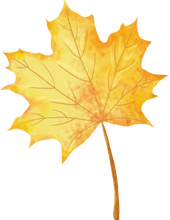 Maple Watercolor Leaf